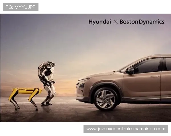 新2体育：多样化的游戏内容如何满足不同用户的需求